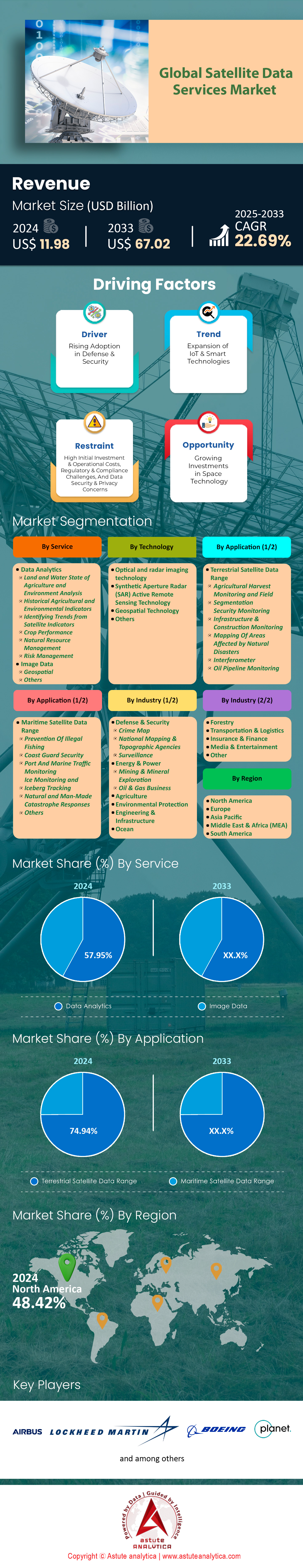 卫星数据服务市场